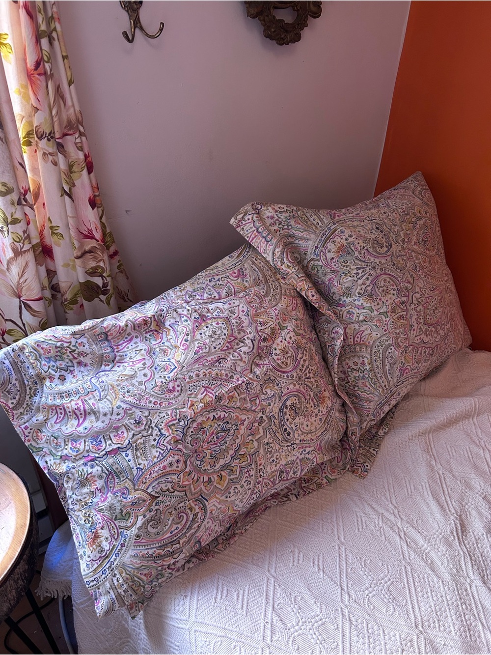 Pair of Paisley Watercolor Zara Home Cotton Decorative Pillow Sham